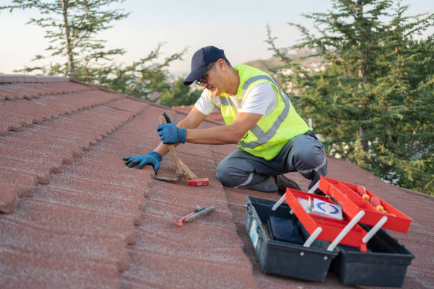 Best Flat Roof Repair Services  in Nixon, TX