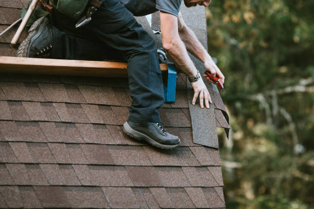 Best Roof Gutter Cleaning  in Nixon, TX